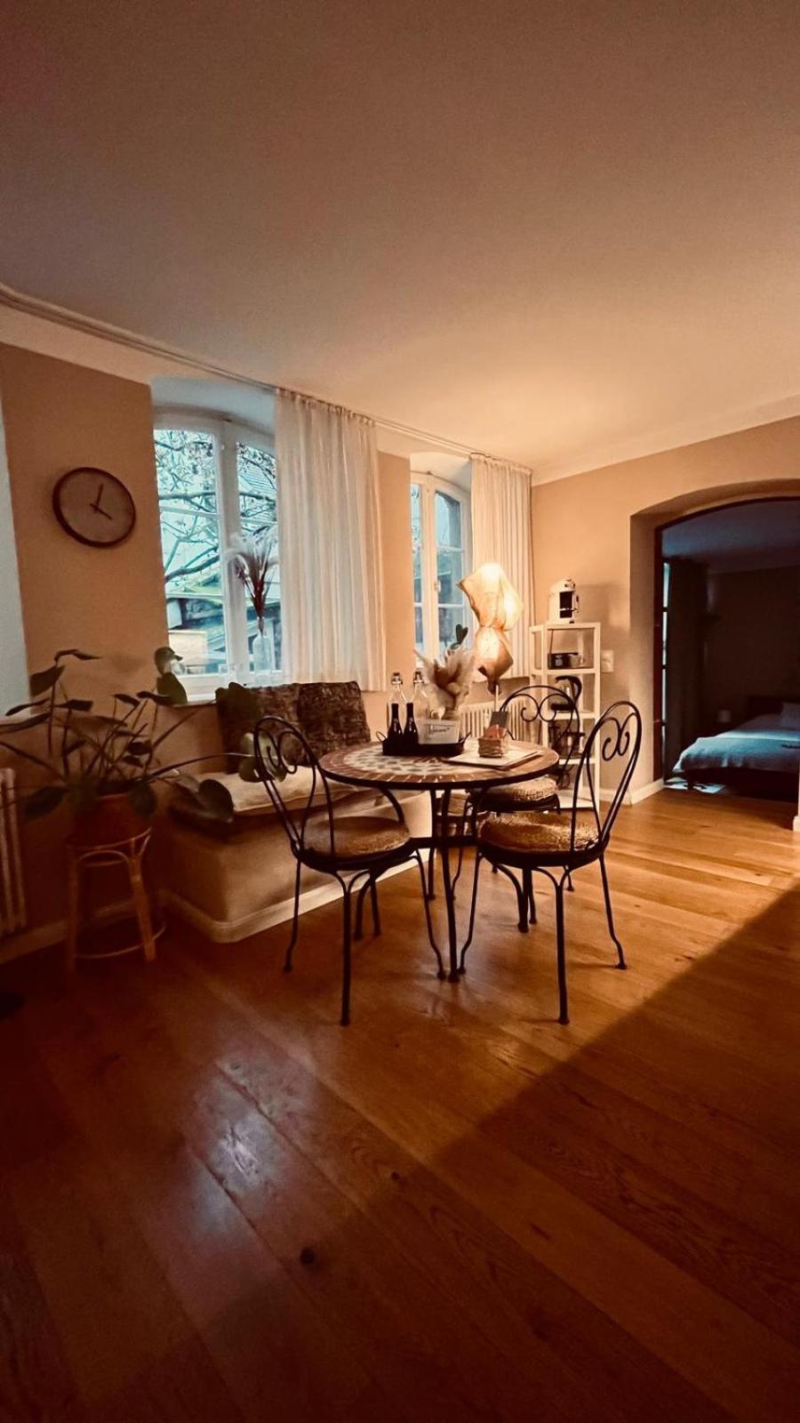 Apartment Am Schloss - Flair 사르브루켄 외부 사진